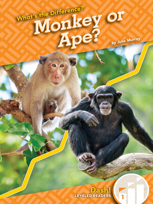 cover image of Monkey or Ape?
